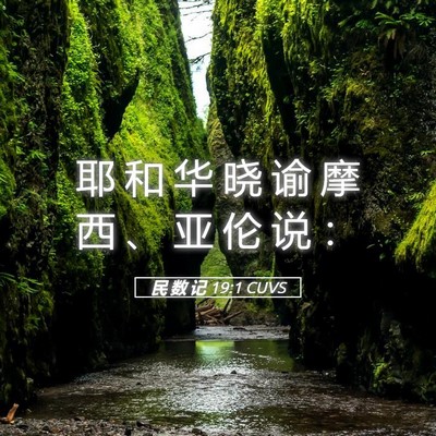 Picture 05 - 民 数 记 19:1 CUVS - 耶 和 华 晓 谕 摩 西 、 亚 伦 说 - Bible Verse Picture