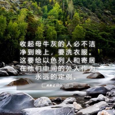 Picture 05 - 民 数 记 19:10 CUVS - 收 起 母 牛 灰 的 人 必 不 洁 净 到 - Bible Verse Picture