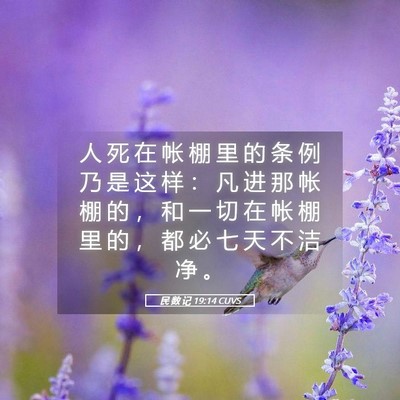 Picture 05 - 民 数 记 19:14 CUVS - 人 死 在 帐 棚 里 的 条 例 乃 是 这 - Bible Verse Picture