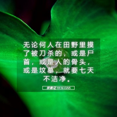 Picture 05 - 民 数 记 19:16 CUVS - 无 论 何 人 在 田 野 里 摸 了 被 刀 - Bible Verse Picture
