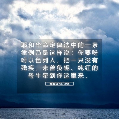 Picture 05 - 民 数 记 19:2 CUVS - 耶 和 华 命 定 律 法 中 的 一 条 律 - Bible Verse Picture