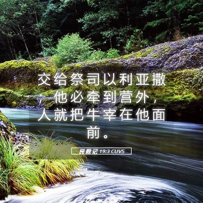 Picture 05 - 民 数 记 19:3 CUVS - 交 给 祭 司 以 利 亚 撒 ； 他 必 牵 - Bible Verse Picture