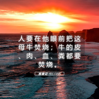 Picture 05 - 民 数 记 19:5 CUVS - 人 要 在 他 眼 前 把 这 母 牛 焚 烧 - Bible Verse Picture