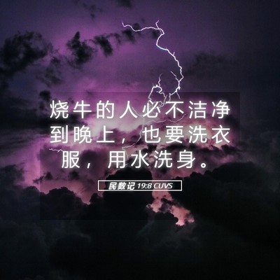 Picture 05 - 民 数 记 19:8 CUVS - 烧 牛 的 人 必 不 洁 净 到 晚 上 ， - Bible Verse Picture