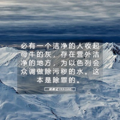 Picture 05 - 民 数 记 19:9 CUVS - 必 有 一 个 洁 净 的 人 收 起 母 牛 - Bible Verse Picture