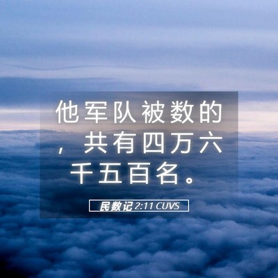 Picture 05 - 民 数 记 2:11 CUVS - 他 军 队 被 数 的 ， 共 有 四 万 六 - Bible Verse Picture