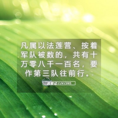 Picture 05 - 民 数 记 2:24 CUVS - 凡 属 以 法 莲 营 、 按 着 军 队 被 - Bible Verse Picture