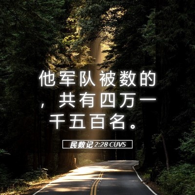 Picture 05 - 民 数 记 2:28 CUVS - 他 军 队 被 数 的 ， 共 有 四 万 一 - Bible Verse Picture
