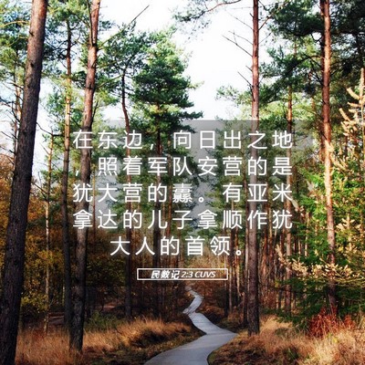 Picture 05 - 民 数 记 2:3 CUVS - 在 东 边 ， 向 日 出 之 地 ， 照 着 - Bible Verse Picture