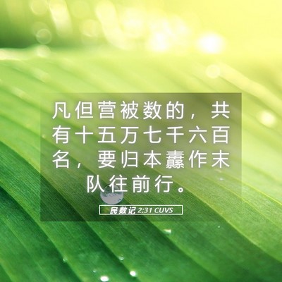 Picture 05 - 民 数 记 2:31 CUVS - 凡 但 营 被 数 的 ， 共 有 十 五 万 - Bible Verse Picture
