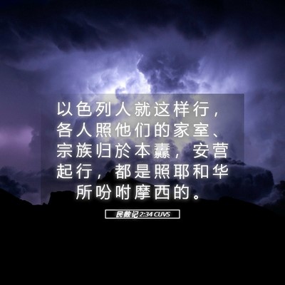 Picture 05 - 民 数 记 2:34 CUVS - 以 色 列 人 就 这 样 行 ， 各 人 照 - Bible Verse Picture