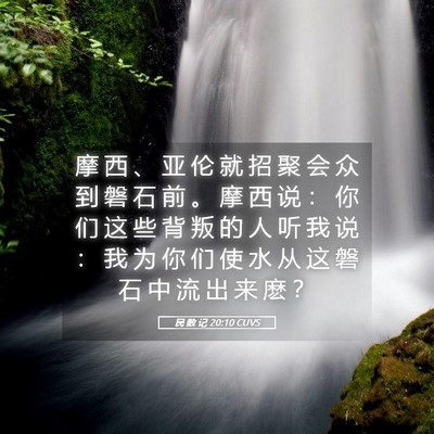 Picture 05 - 民 数 记 20:10 CUVS - 摩 西 、 亚 伦 就 招 聚 会 众 到 磐 - Bible Verse Picture