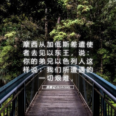 Picture 05 - 民 数 记 20:14 CUVS - 摩 西 从 加 低 斯 差 遣 使 者 去 见 - Bible Verse Picture