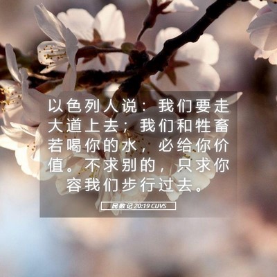 Picture 05 - 民 数 记 20:19 CUVS - 以 色 列 人 说 ： 我 们 要 走 大 道 - Bible Verse Picture