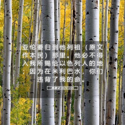 Picture 05 - 民 数 记 20:24 CUVS - 亚 伦 要 归 到 他 列 祖 （ 原 文 作 - Bible Verse Picture