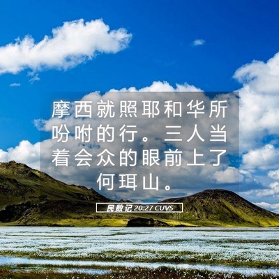 Picture 05 - 民 数 记 20:27 CUVS - 摩 西 就 照 耶 和 华 所 吩 咐 的 行 - Bible Verse Picture