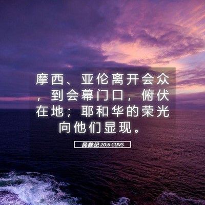 Picture 05 - 民 数 记 20:6 CUVS - 摩 西 、 亚 伦 离 开 会 众 ， 到 会 - Bible Verse Picture