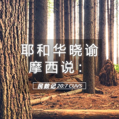 Picture 05 - 民 数 记 20:7 CUVS - 耶 和 华 晓 谕 摩 西 说 - Bible Verse Picture