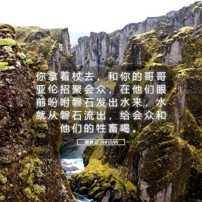 Picture 05 - 民 数 记 20:8 CUVS - 你 拿 着 杖 去 ， 和 你 的 哥 哥 亚 - Bible Verse Picture