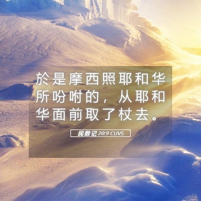 Picture 05 - 民 数 记 20:9 CUVS - 於 是 摩 西 照 耶 和 华 所 吩 咐 的 - Bible Verse Picture
