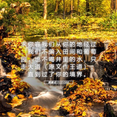 Picture 05 - 民 数 记 21:22 CUVS - 求 你 容 我 们 从 你 的 地 经 过 ； - Bible Verse Picture