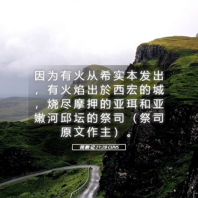 Picture 05 - 民 数 记 21:28 CUVS - 因 为 有 火 从 希 实 本 发 出 ， 有 - Bible Verse Picture