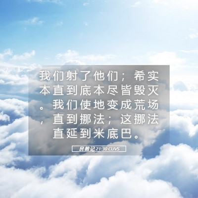 Picture 05 - 民 数 记 21:30 CUVS - 我 们 射 了 他 们 ； 希 实 本 直 到 - Bible Verse Picture
