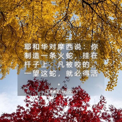 Picture 05 - 民 数 记 21:8 CUVS - 耶 和 华 对 摩 西 说 ： 你 制 造 一 - Bible Verse Picture