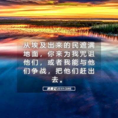 Picture 05 - 民 数 记 22:11 CUVS - 从 埃 及 出 来 的 民 遮 满 地 面 ， - Bible Verse Picture