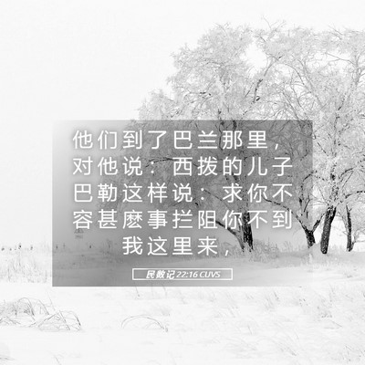 Picture 05 - 民 数 记 22:16 CUVS - 他 们 到 了 巴 兰 那 里 ， 对 他 说 - Bible Verse Picture