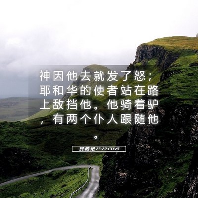 Picture 05 - 民 数 记 22:22 CUVS - 神 因 他 去 就 发 了 怒 ； 耶 和 华 - Bible Verse Picture