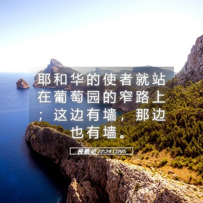 Picture 05 - 民 数 记 22:24 CUVS - 耶 和 华 的 使 者 就 站 在 葡 萄 园 - Bible Verse Picture