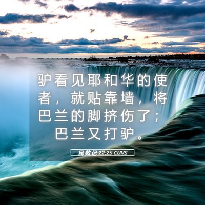 Picture 05 - 民 数 记 22:25 CUVS - 驴 看 见 耶 和 华 的 使 者 ， 就 贴 - Bible Verse Picture
