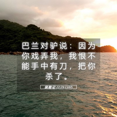 Picture 05 - 民 数 记 22:29 CUVS - 巴 兰 对 驴 说 ： 因 为 你 戏 弄 我 - Bible Verse Picture