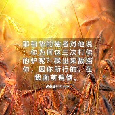 Picture 05 - 民 数 记 22:32 CUVS - 耶 和 华 的 使 者 对 他 说 ： 你 为 - Bible Verse Picture