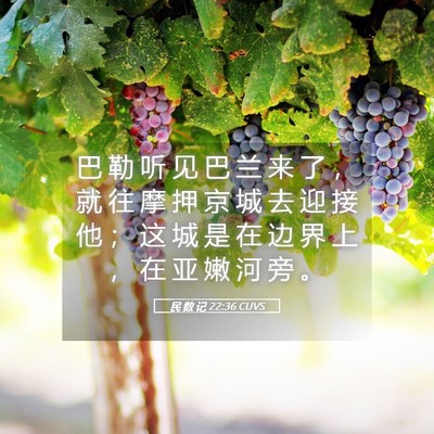 Picture 05 - 民 数 记 22:36 CUVS - 巴 勒 听 见 巴 兰 来 了 ， 就 往 摩 - Bible Verse Picture
