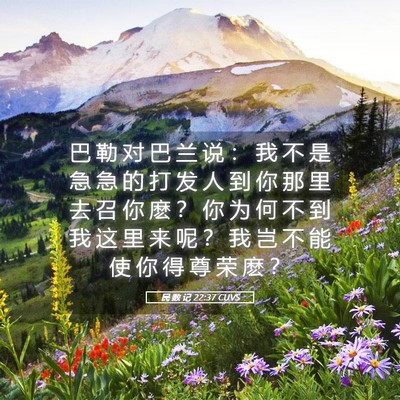 Picture 05 - 民 数 记 22:37 CUVS - 巴 勒 对 巴 兰 说 ： 我 不 是 急 急 - Bible Verse Picture