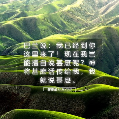 Picture 05 - 民 数 记 22:38 CUVS - 巴 兰 说 ： 我 已 经 到 你 这 里 来 - Bible Verse Picture