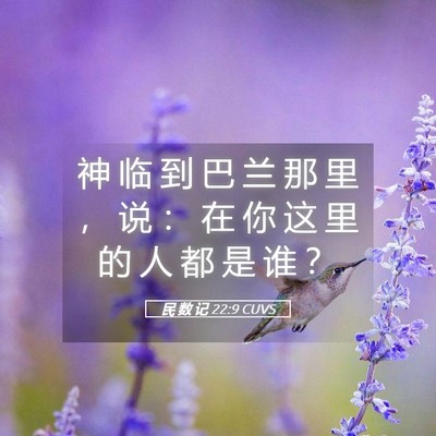 Picture 05 - 民 数 记 22:9 CUVS - 神 临 到 巴 兰 那 里 ， 说 ： 在 你 - Bible Verse Picture