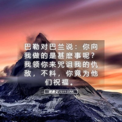 Picture 05 - 民 数 记 23:11 CUVS - 巴 勒 对 巴 兰 说 ： 你 向 我 做 的 - Bible Verse Picture