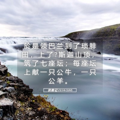 Picture 05 - 民 数 记 23:14 CUVS - 於 是 领 巴 兰 到 了 琐 腓 田 ， 上 - Bible Verse Picture