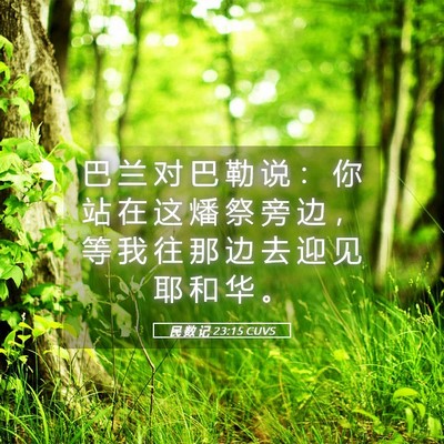 Picture 05 - 民 数 记 23:15 CUVS - 巴 兰 对 巴 勒 说 ： 你 站 在 这 燔 - Bible Verse Picture