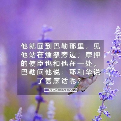Picture 05 - 民 数 记 23:17 CUVS - 他 就 回 到 巴 勒 那 里 ， 见 他 站 - Bible Verse Picture