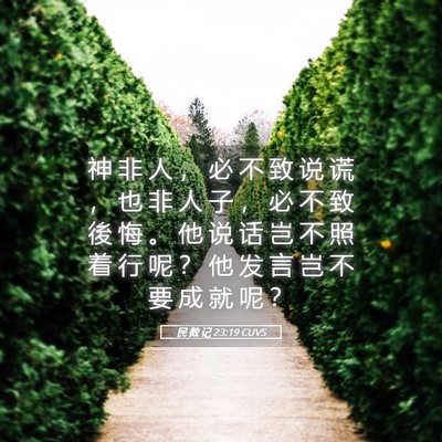 Picture 05 - 民 数 记 23:19 CUVS - 神 非 人 ， 必 不 致 说 谎 ， 也 非 - Bible Verse Picture