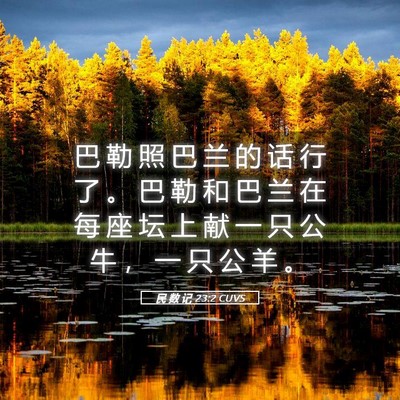 Picture 05 - 民 数 记 23:2 CUVS - 巴 勒 照 巴 兰 的 话 行 了 。 巴 勒 - Bible Verse Picture