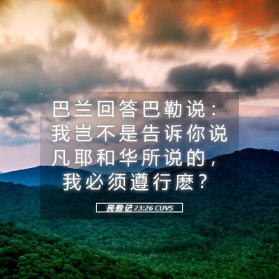 Picture 05 - 民 数 记 23:26 CUVS - 巴 兰 回 答 巴 勒 说 ： 我 岂 不 是 - Bible Verse Picture