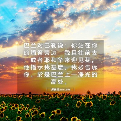 Picture 05 - 民 数 记 23:3 CUVS - 巴 兰 对 巴 勒 说 ： 你 站 在 你 的 - Bible Verse Picture