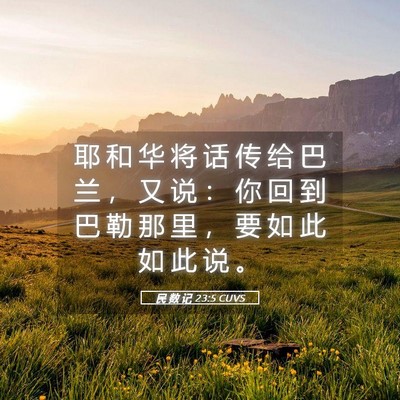 Picture 05 - 民 数 记 23:5 CUVS - 耶 和 华 将 话 传 给 巴 兰 ， 又 说 - Bible Verse Picture