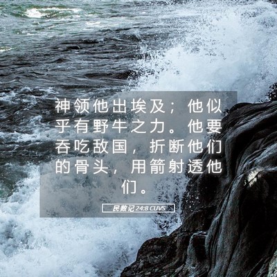 Picture 05 - 民 数 记 24:8 CUVS - 神 领 他 出 埃 及 ； 他 似 乎 有 野 - Bible Verse Picture