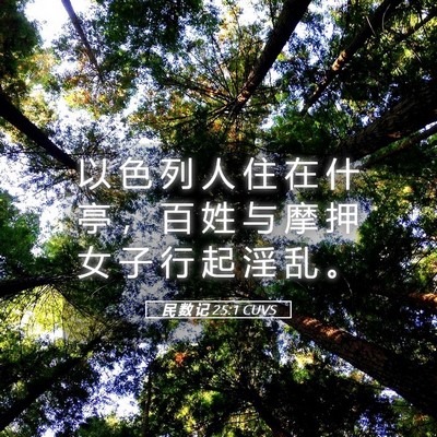 Picture 05 - 民 数 记 25:1 CUVS - 以 色 列 人 住 在 什 亭 ， 百 姓 与 - Bible Verse Picture